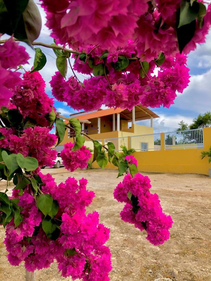 Chacara Recanto Dos Ventos - Ubajara-Ce Exterior foto